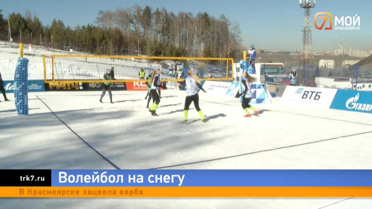 Необычное зрелище и ощущения: в Красноярске начались трехдневные соревнования по волейболу на снегу