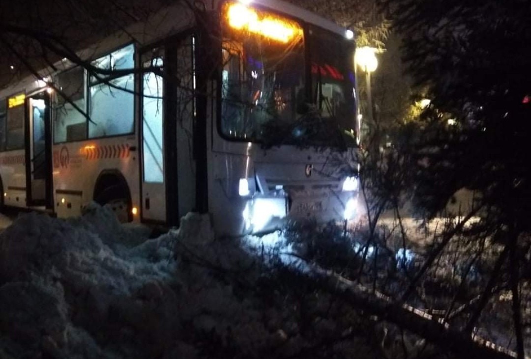 Потеряла в автобусе что делать. Автобус врезался в дерево. Автобусные аварии Красноярск. Водитель автобуса врезался в деревья Красноярск. Автобус въехал в дерево.