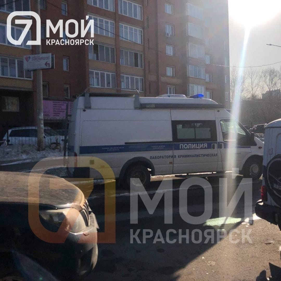 В Красноярске задержана девушка, устроившая стрельбу в детсаду.jpg
