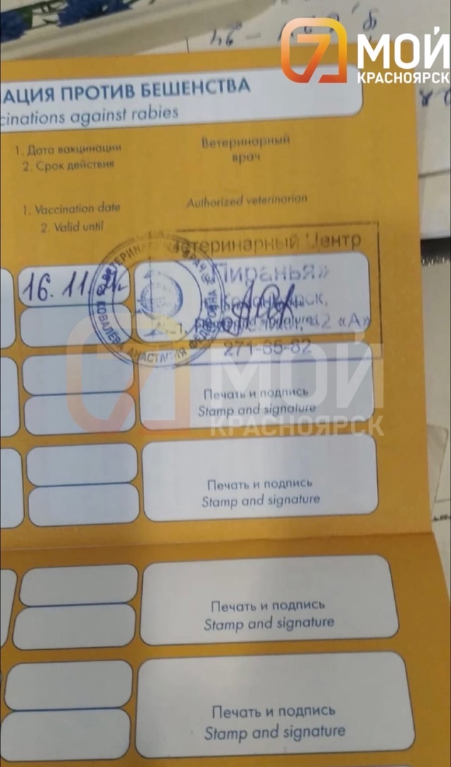 прививка.jpg прививка.jpg