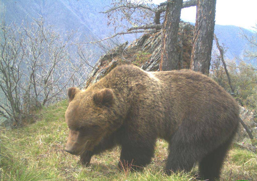 8MWr3XtrrHY.jpg 8MWr3XtrrHY.jpg