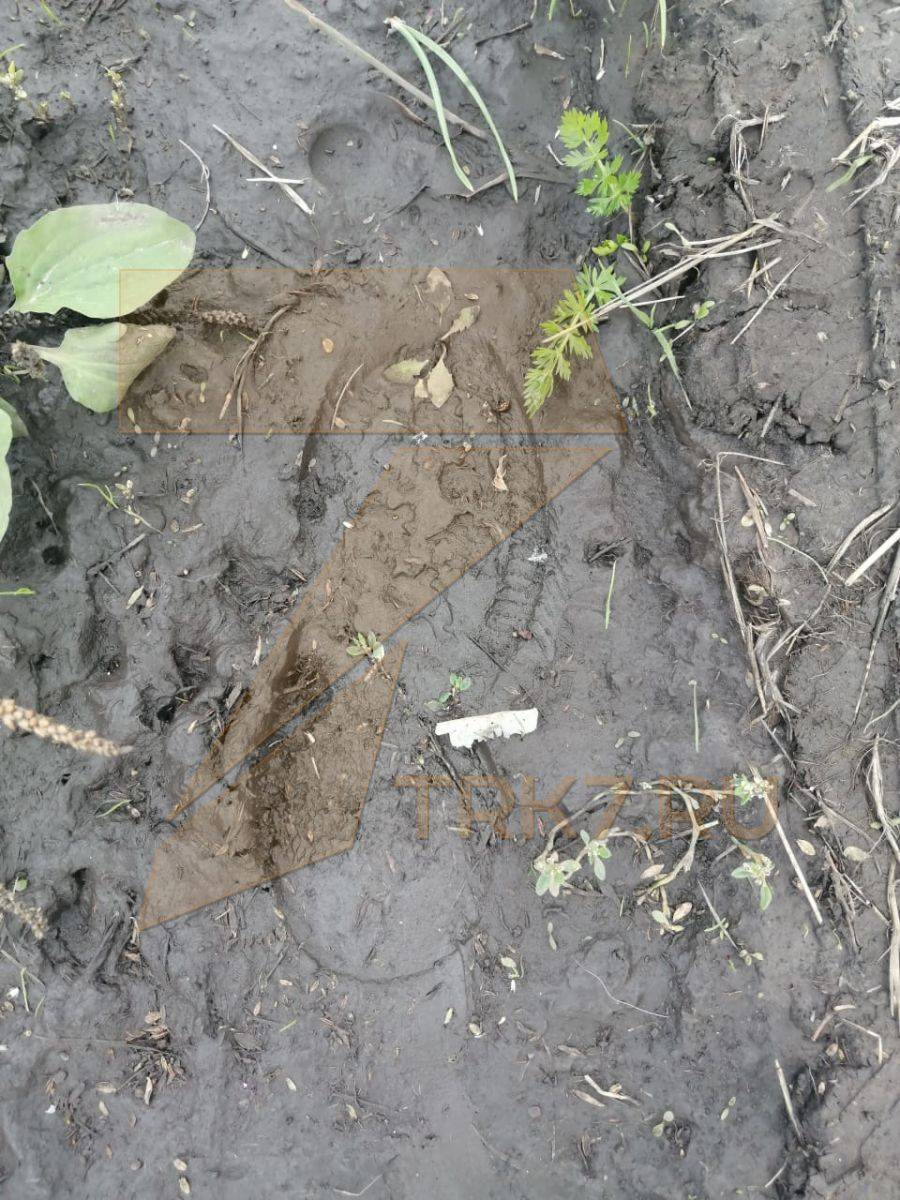 Что пропало для мальчиков. Нашли 4 летнего. Нашли 4 летнего. 4 летнего мальчика нашли убитым в актобе. Нашли 4 летнего.