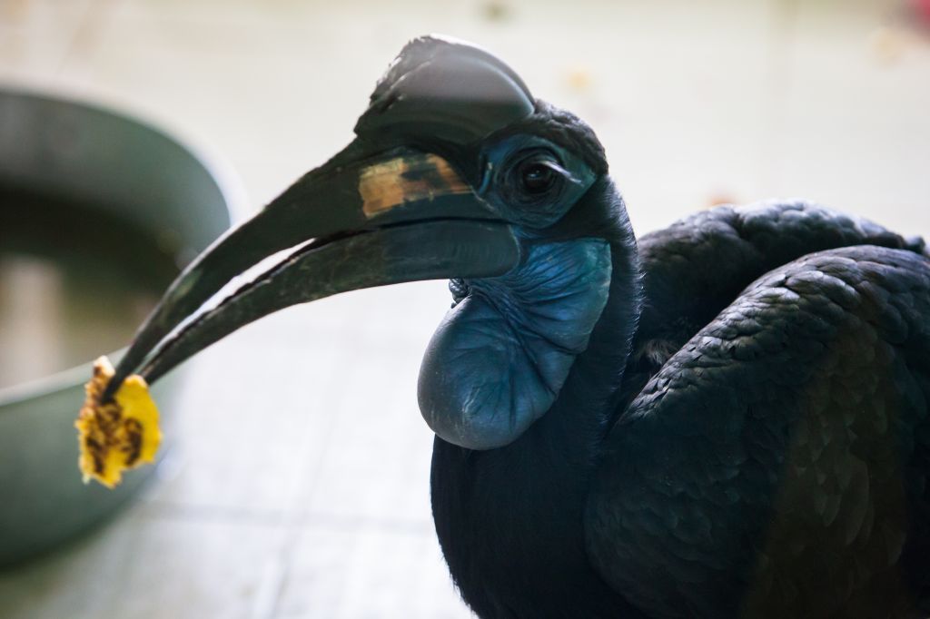 569J7683.jpg 569J7683.jpg