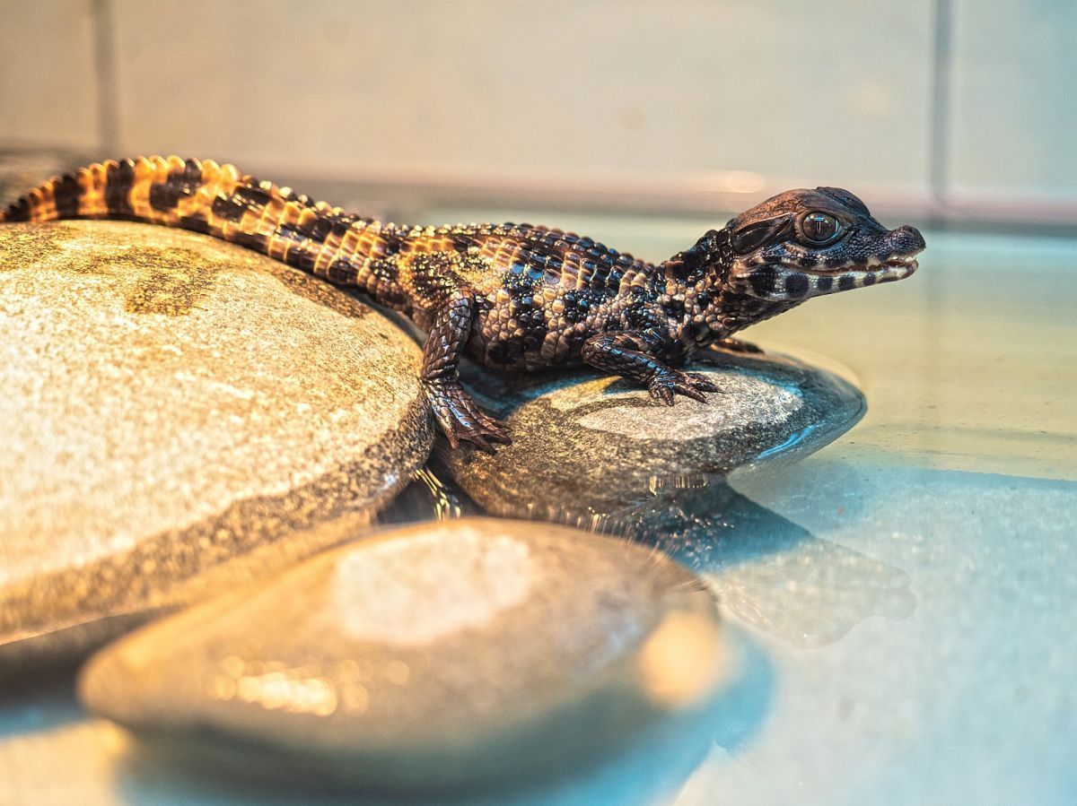 aGxdknqmOgg.jpg aGxdknqmOgg.jpg