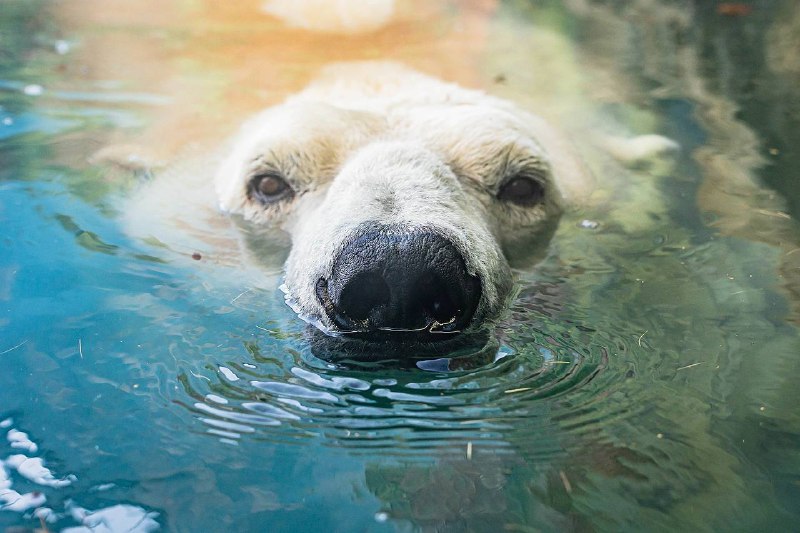 d1de1848-5e3e-4766-8900-d648e6fa2f04.jpg d1de1848-5e3e-4766-8900-d648e6fa2f04.jpg