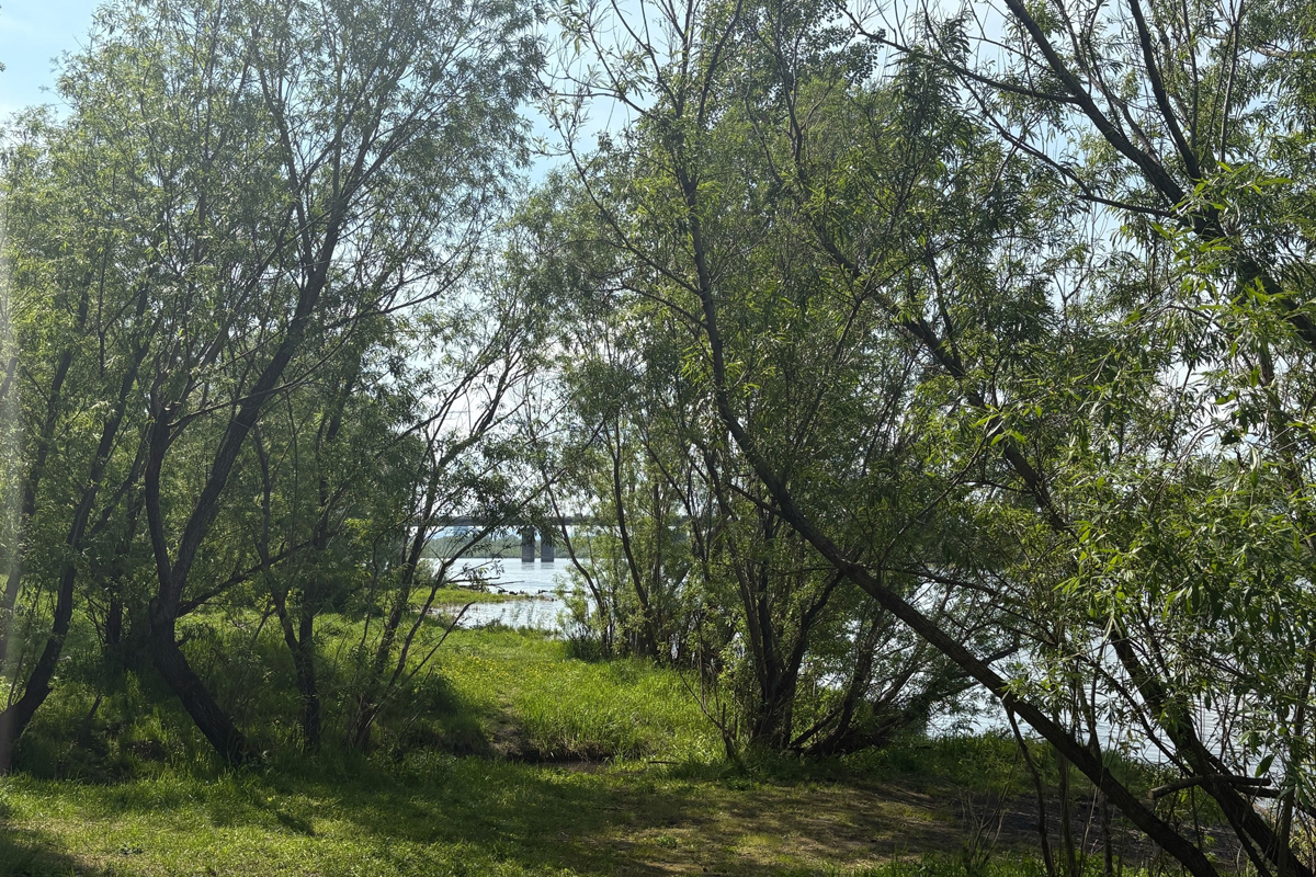 ФКГС_ЛЕН_0625 (5).jpg