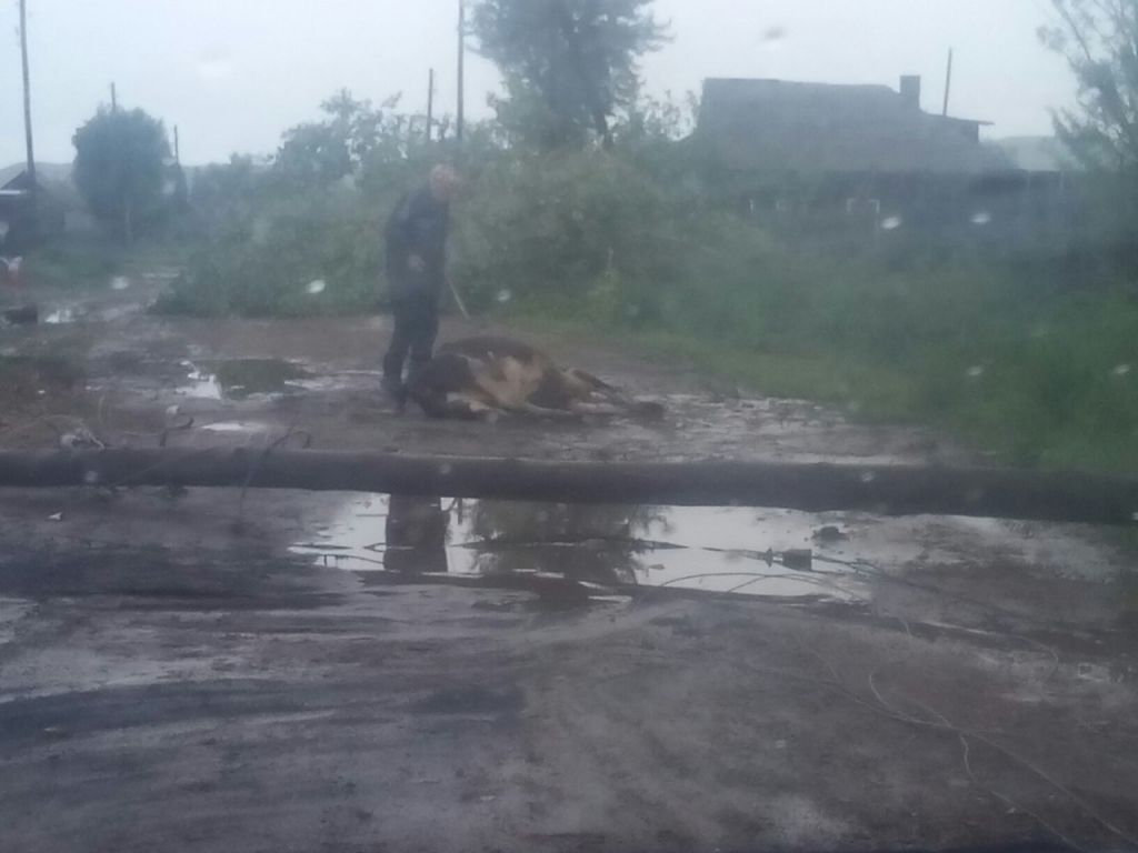 Шира накрыл срывающий крыши ураган и мощный ливень (фото) — Новости  Красноярска на 7 канале