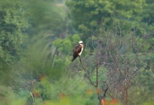 zKWuiooAXU4 (1).jpg zKWuiooAXU4 (1).jpg