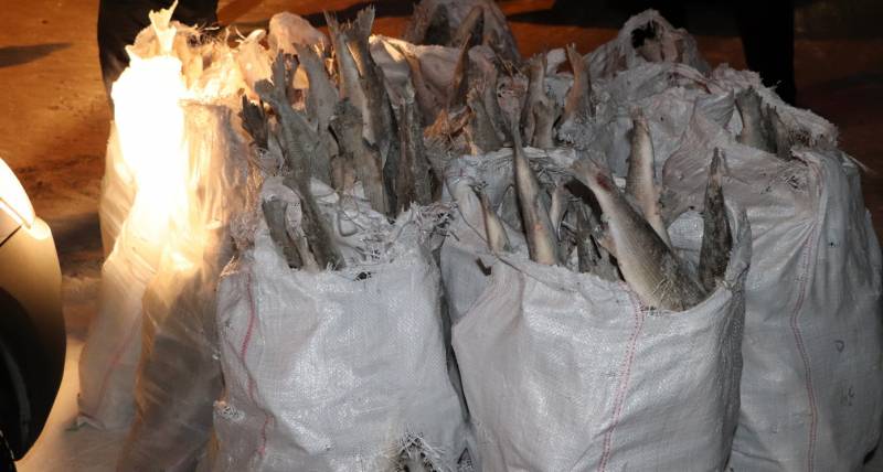 изъяли рыбу 2.jpg