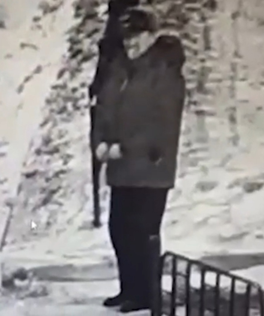 скриншот видео скриншот видео