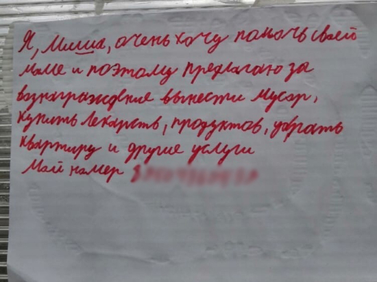 В Красноярске мальчик расклеил объявление о поиске работы, чтобы помочь своей маме.jpg