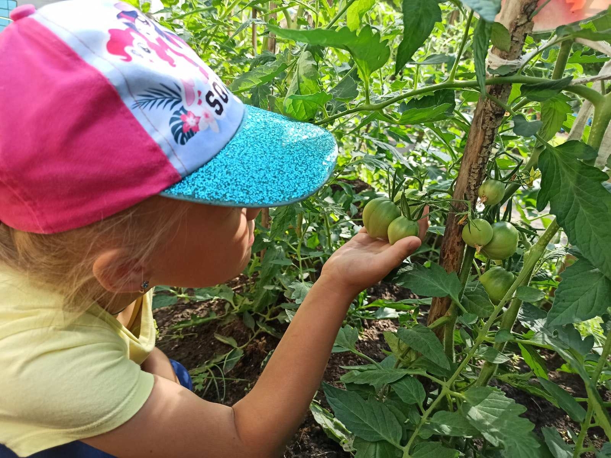 313садик13072023 (2).jpg 313садик13072023 (2).jpg