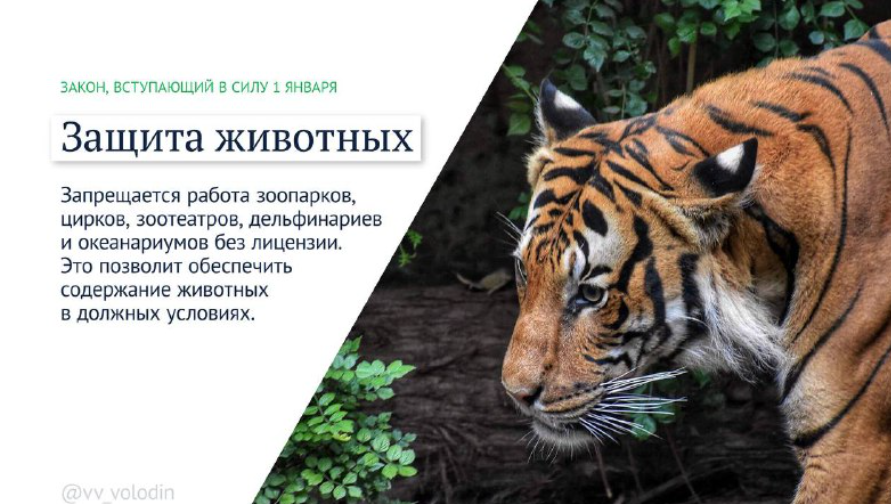 Защита животных.png