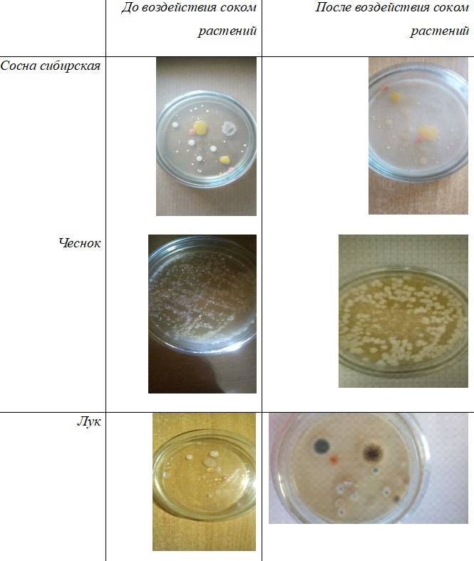 sfq7pRaMwu8.jpg sfq7pRaMwu8.jpg