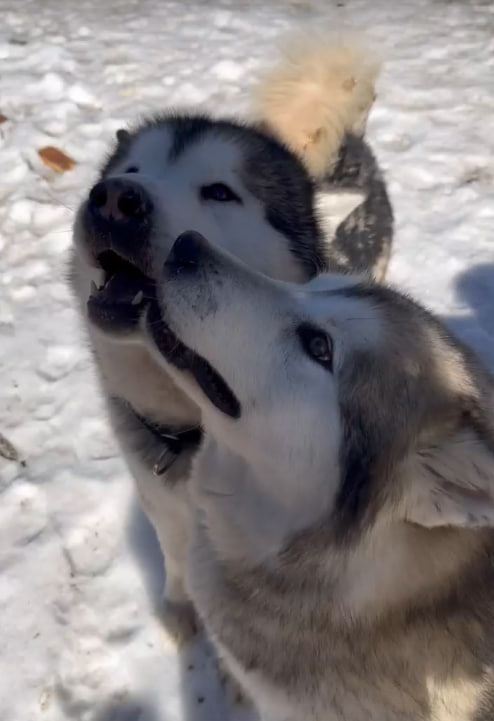 photo_2024-08-19_15-57-23.jpg photo_2024-08-19_15-57-23.jpg