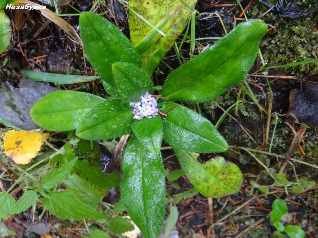 2fde0be5f003b6507897b8de195c161b.jpg 2fde0be5f003b6507897b8de195c161b.jpg