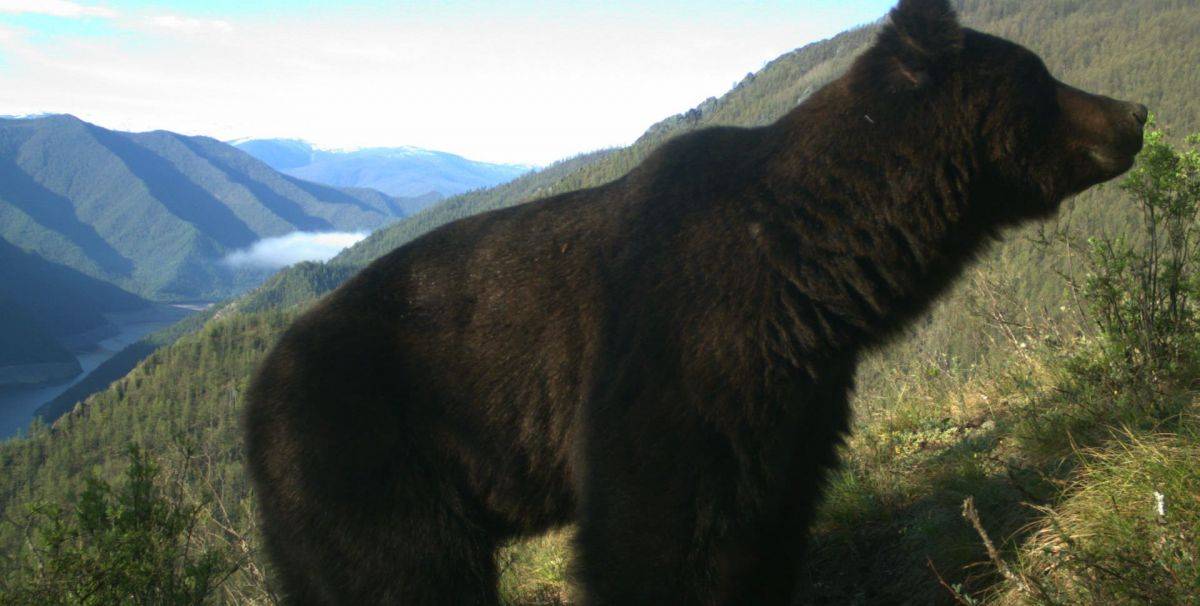 FQUWGJ5wXa0.jpg FQUWGJ5wXa0.jpg