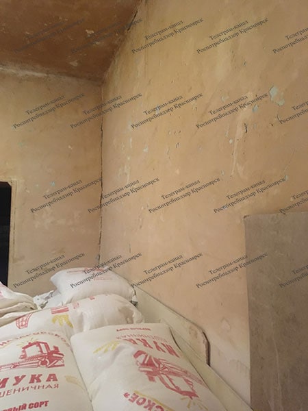 9073485B-7DEC-4491-A1F8-A8B8DC1DE4D5.jpeg 9073485B-7DEC-4491-A1F8-A8B8DC1DE4D5.jpeg