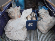 Рыба.jpg Рыба.jpg