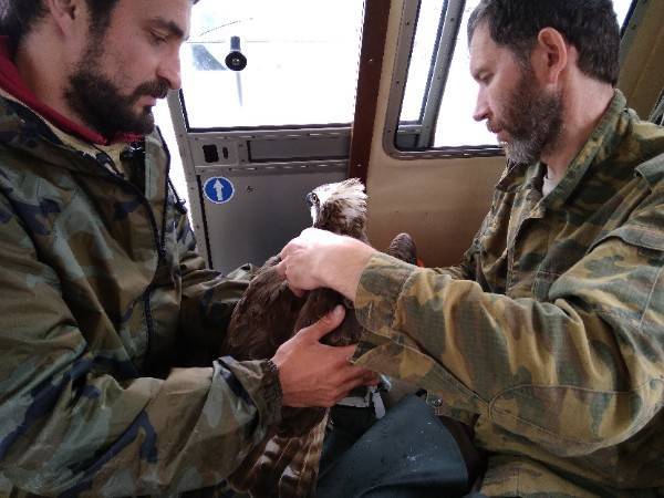 -HAKpFSvAkk.jpg -HAKpFSvAkk.jpg