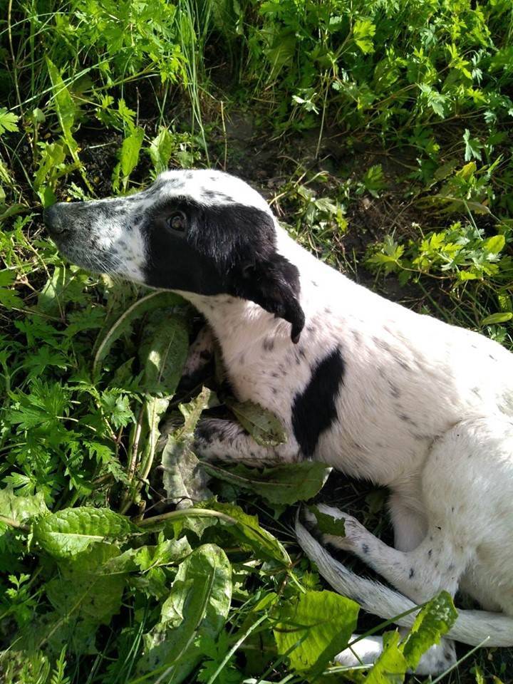 65915033_2373482289385885_4310099067079229440_n.jpg 65915033_2373482289385885_4310099067079229440_n.jpg