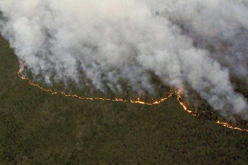 фбу авиалесохрана1.jpg фбу авиалесохрана1.jpg