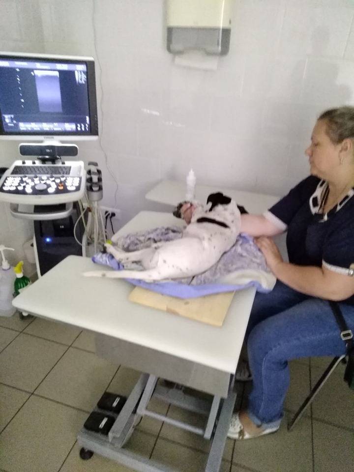 66380149_1205189126327106_3538941082106593280_n.jpg 66380149_1205189126327106_3538941082106593280_n.jpg