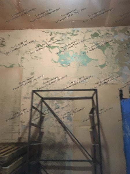 AC4F17FB-C0CC-43C7-B9AC-7D33DA88FB7E.jpeg AC4F17FB-C0CC-43C7-B9AC-7D33DA88FB7E.jpeg