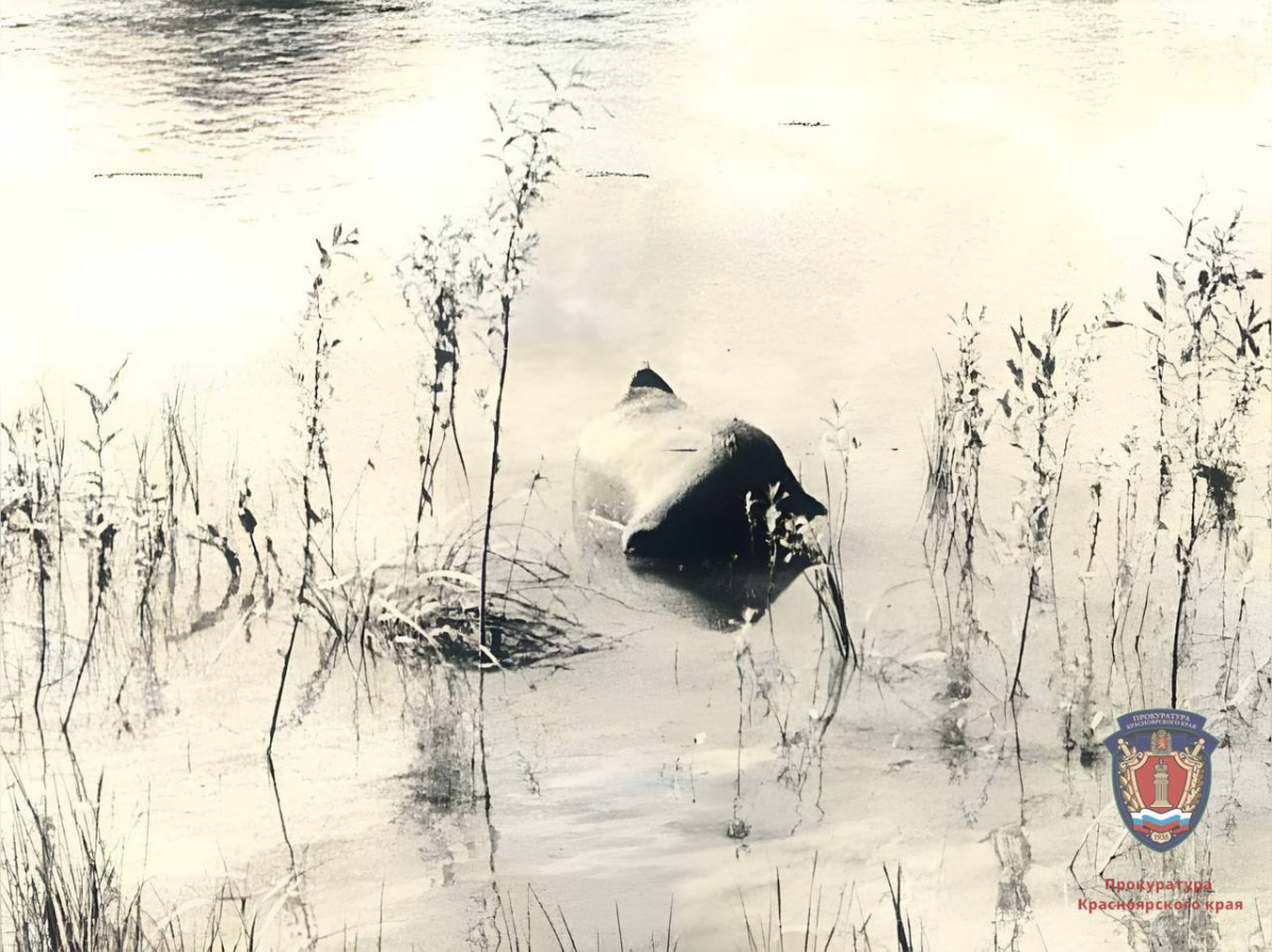 66czatru4l6pa43d5un3j17wgoax09t7.jpg 66czatru4l6pa43d5un3j17wgoax09t7.jpg