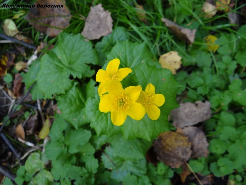 496327e99cc01cdb9f796f0c1919b55b.jpg 496327e99cc01cdb9f796f0c1919b55b.jpg