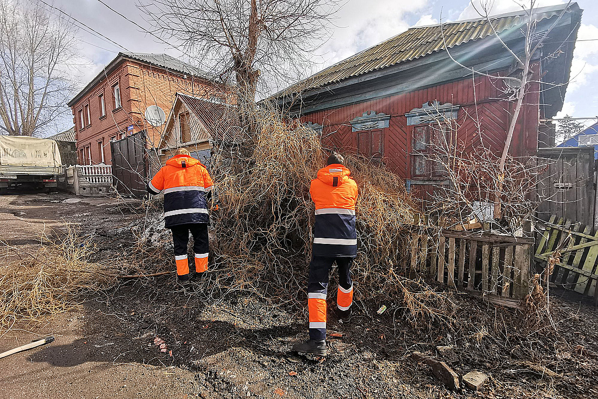 Мобильные бригады лето.jpg