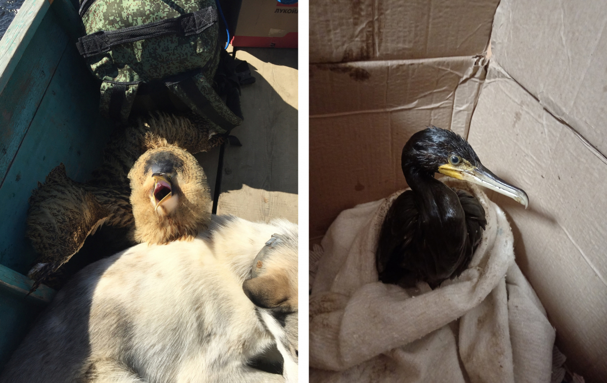 Frame 45.jpg Frame 45.jpg