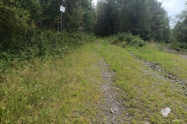 Тропа1.jpg Тропа1.jpg