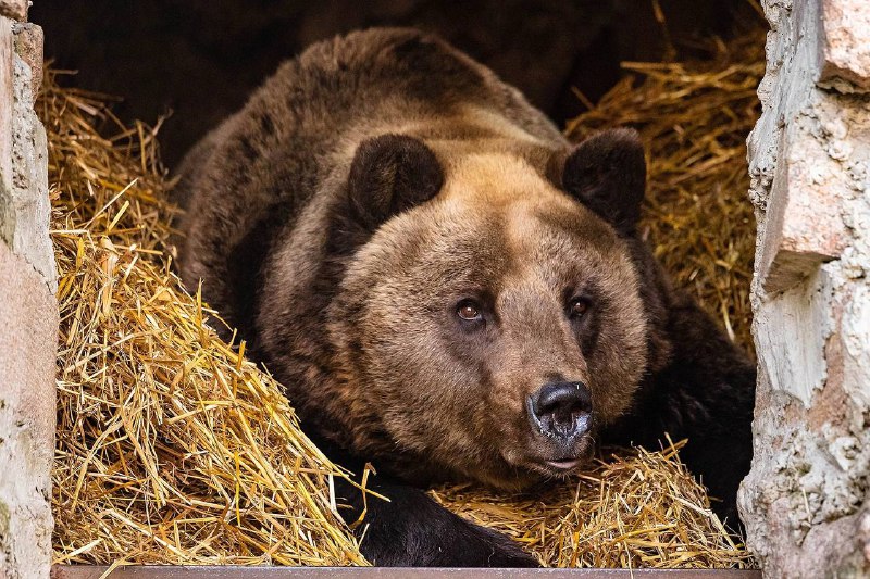 20d602f8-c2fa-491b-8407-3e275dd72e91.jpg 20d602f8-c2fa-491b-8407-3e275dd72e91.jpg