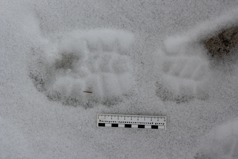 CBFE45C3-4C2C-417D-80BF-2DFF827B2E7D.jpeg CBFE45C3-4C2C-417D-80BF-2DFF827B2E7D.jpeg