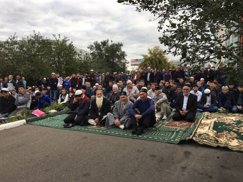 TqC9PICJ-cs.jpg TqC9PICJ-cs.jpg