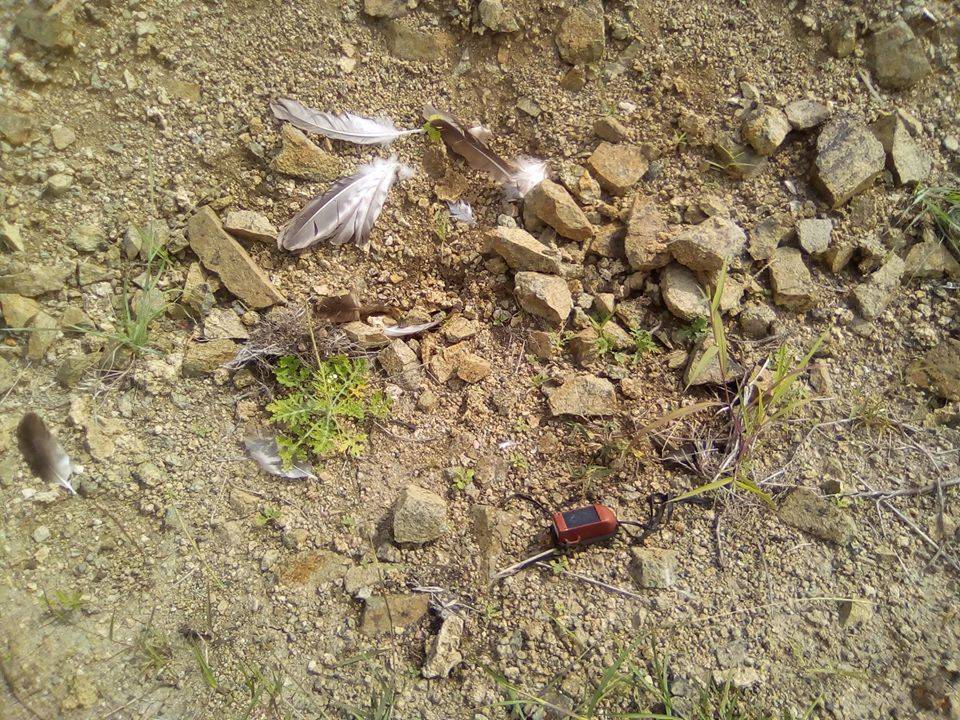 pGBaFHHUIuw.jpg pGBaFHHUIuw.jpg