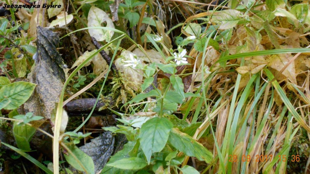 740747fbfb6390134d71447a005c2697.jpg 740747fbfb6390134d71447a005c2697.jpg