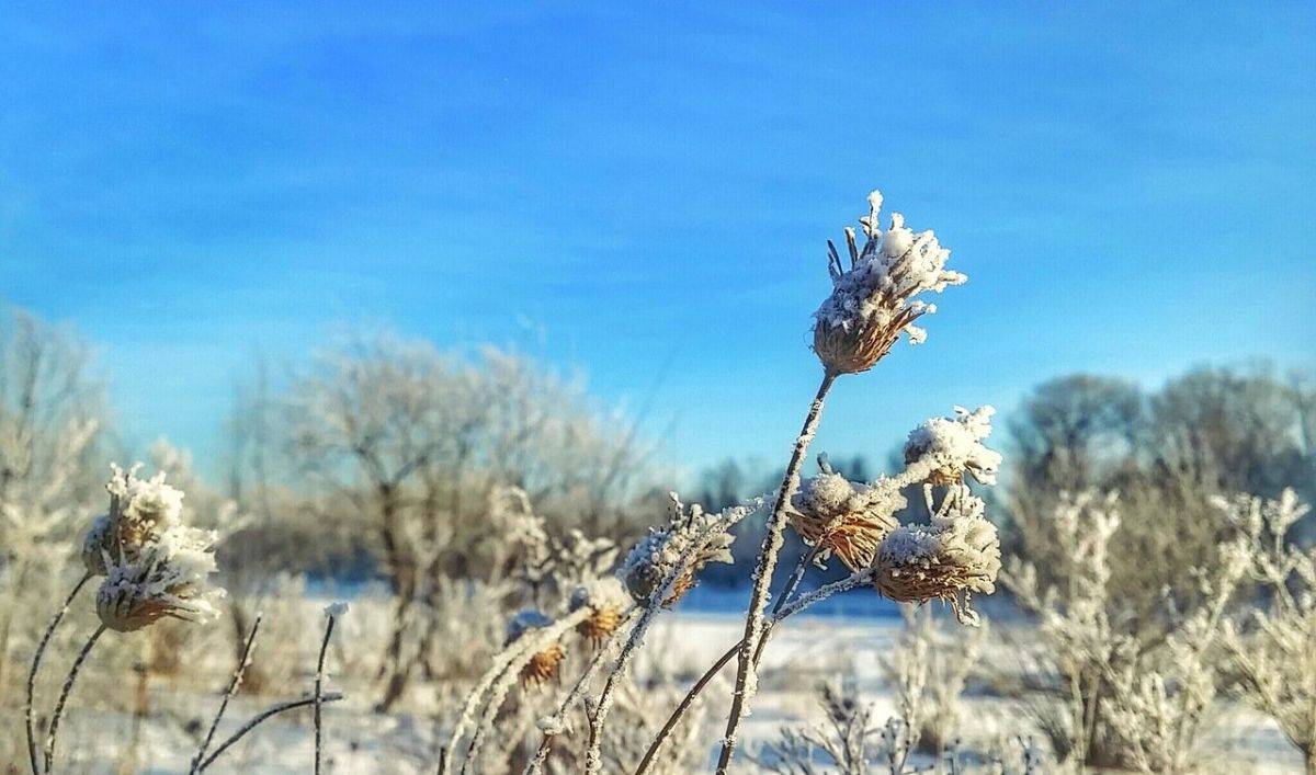 Артем Николаевич.jpeg