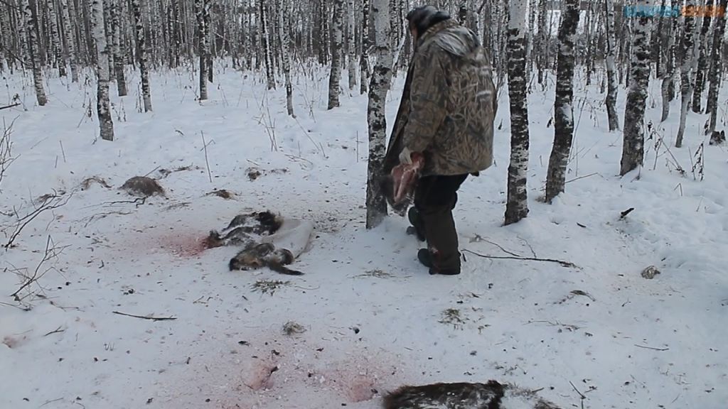 1513569855_kabany-10.jpg 1513569855_kabany-10.jpg