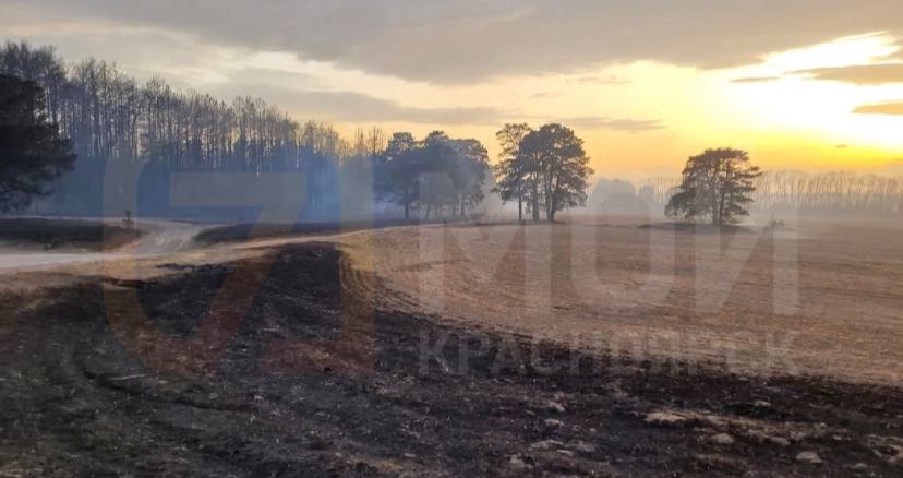 Очевидцы показали километры сгоревшего леса под Минусинском.jpg