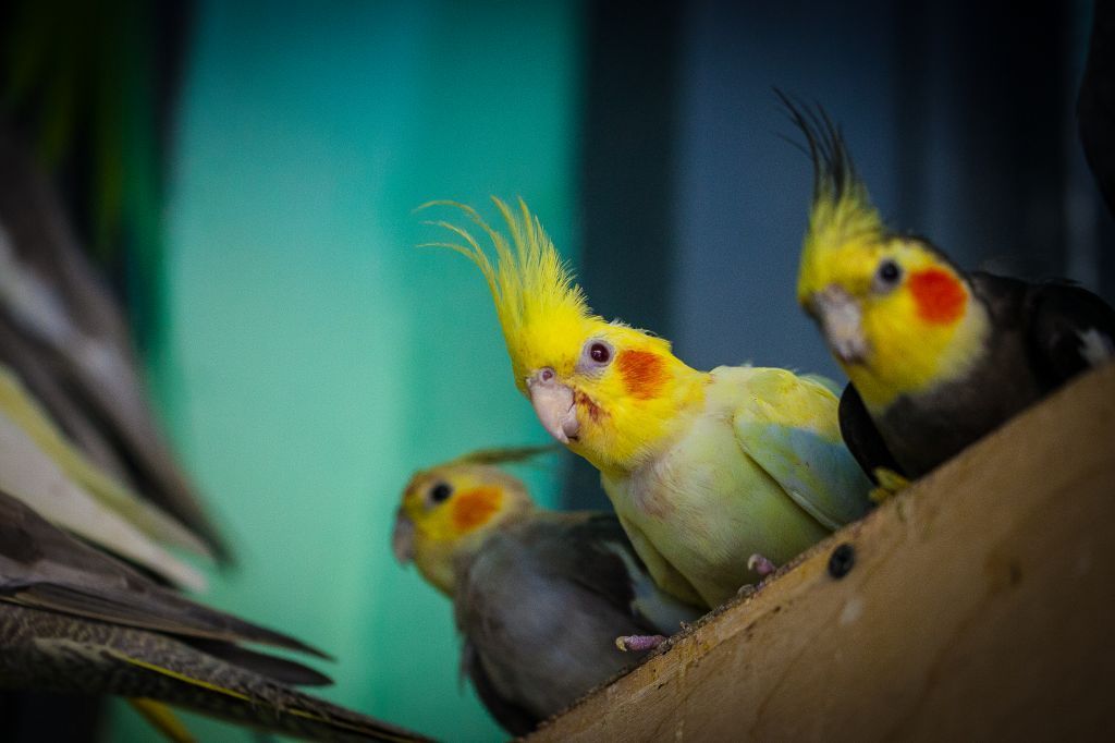 569J7021.jpg 569J7021.jpg