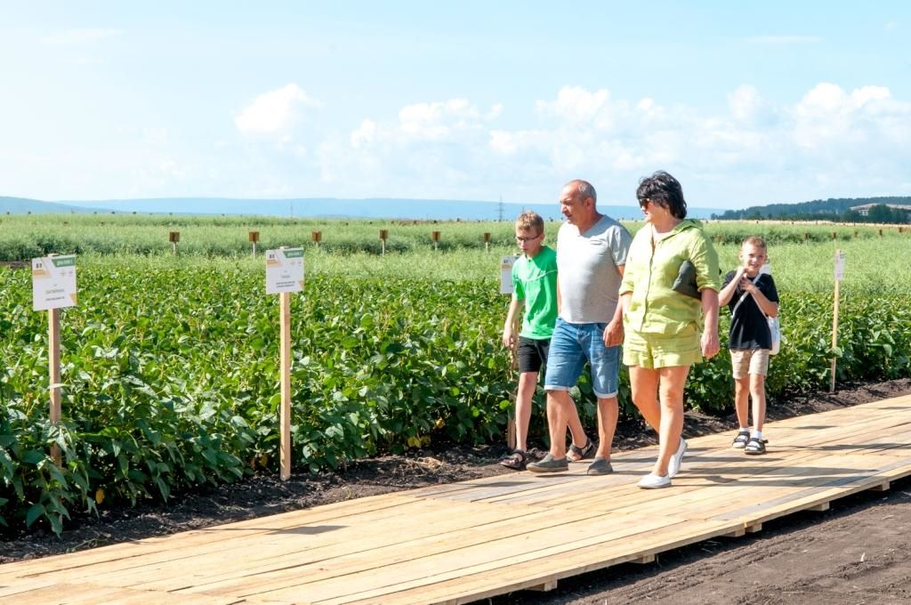 идутрадостныеятожехочу.jpg идутрадостныеятожехочу.jpg