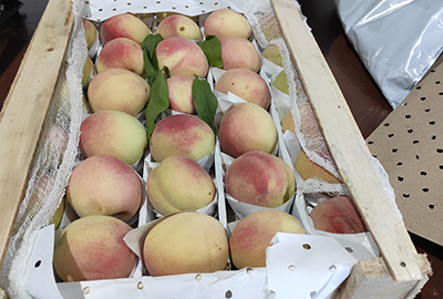 На Южном рынке Красноярска изъяли 2 т опасных персиков и груш.jpg