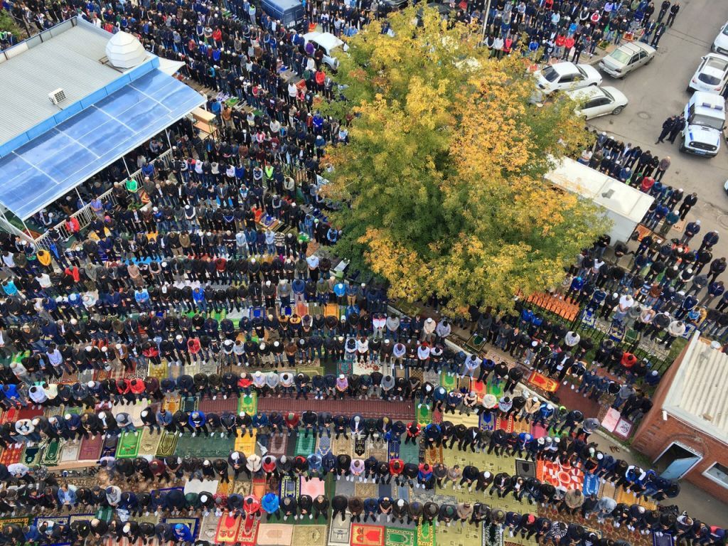 OSeJggyVavE.jpg OSeJggyVavE.jpg