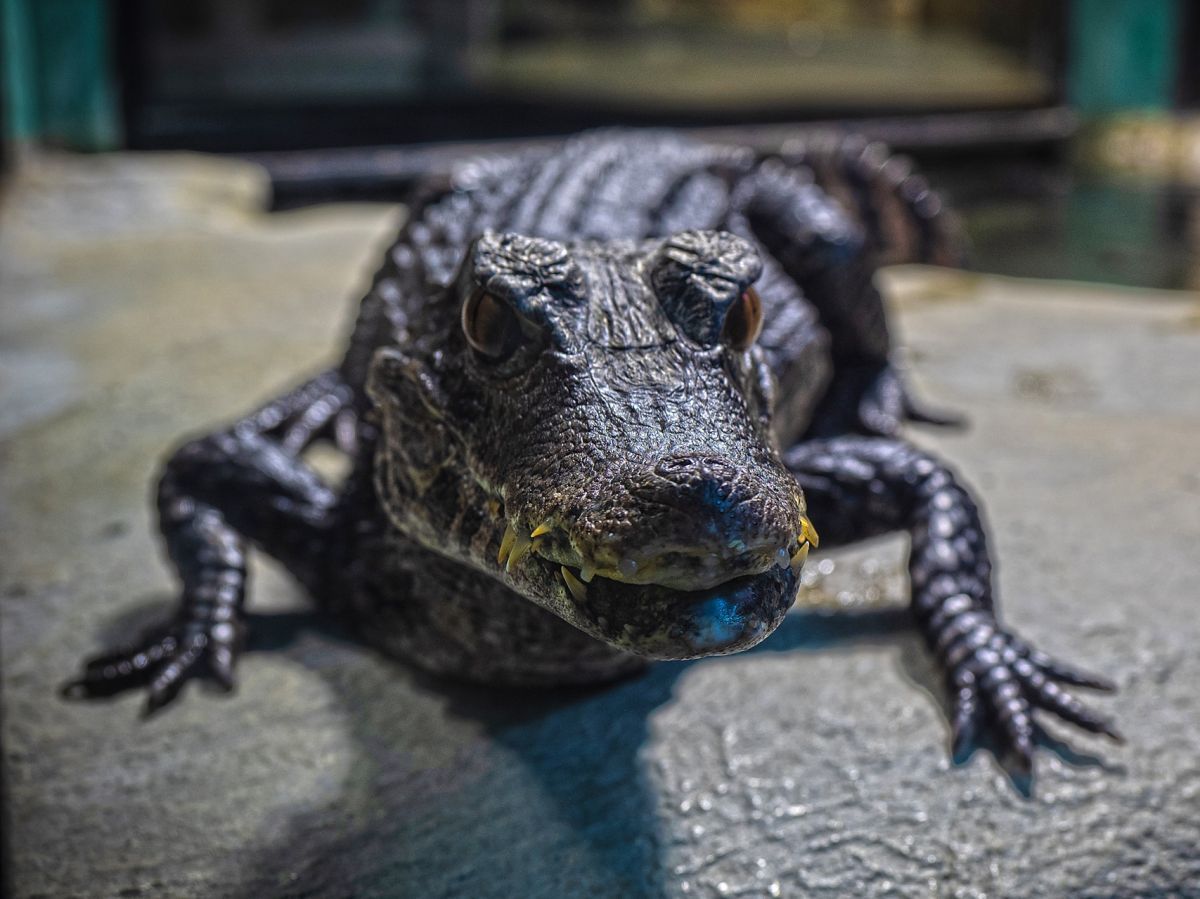 VbBsGPOvzq4.jpg VbBsGPOvzq4.jpg