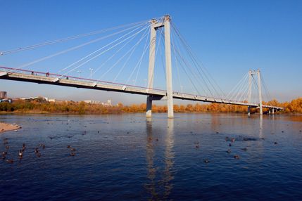 Вантовый мост.jpg