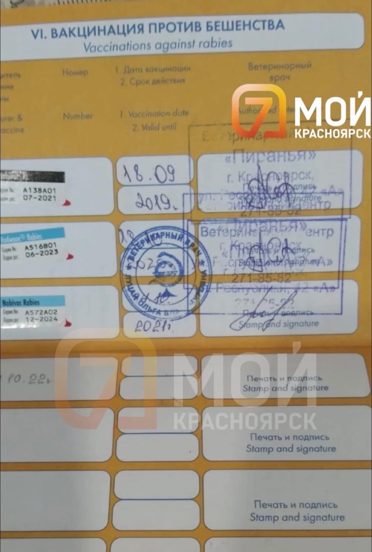 прививка 2.jpg прививка 2.jpg