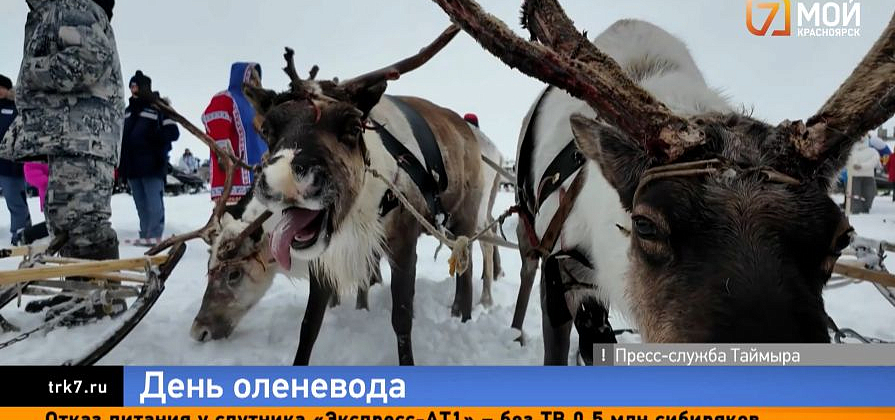 На Таймыре проходит один из главных праздников Севера — День оленевода
