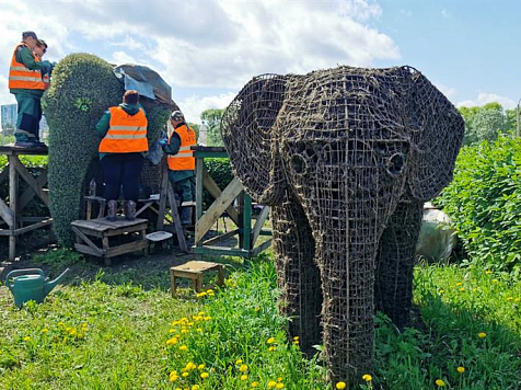 В Красноярске приступили к оформлению вертикальных фигур озеленения. Фото: администрация Красноярска